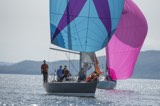 sx panther gbr1048t whyw24 sun 750 7847